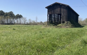 Séchoir à tabac + bâtiment agricole